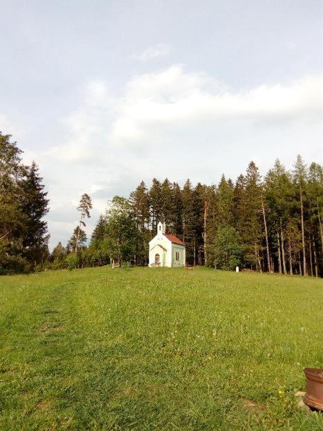 Apartman Monny Frymburk nad Vltavou Exterior foto